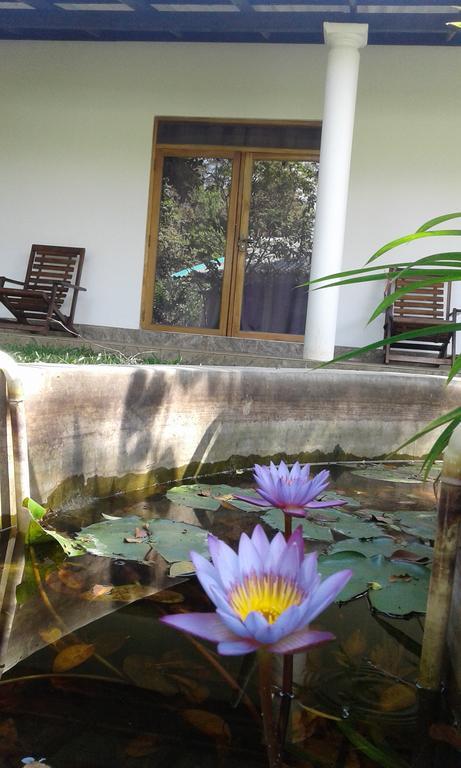River Retreat Sigiriya Dış mekan fotoğraf
