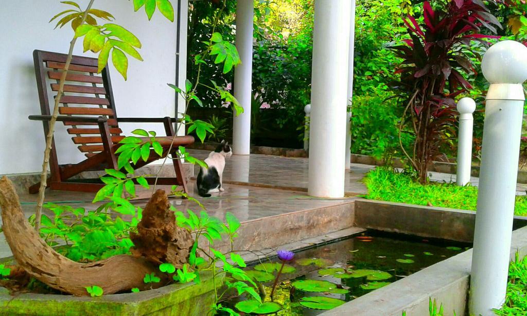 River Retreat Sigiriya Dış mekan fotoğraf