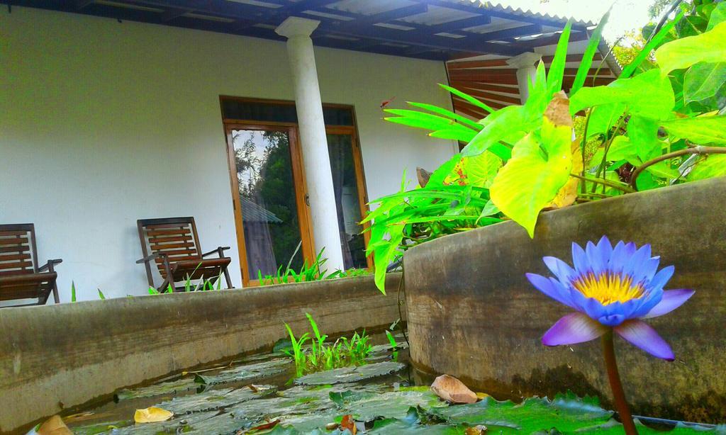 River Retreat Sigiriya Dış mekan fotoğraf